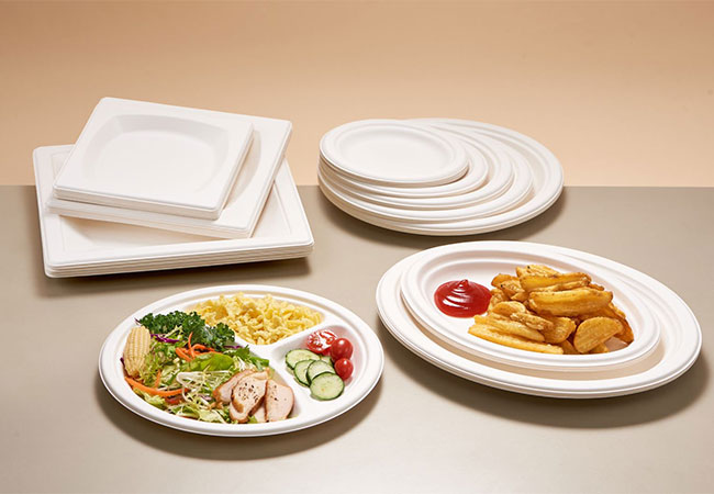 Eco Disponible to Go Containers: The Future of Sustainable Food Service
