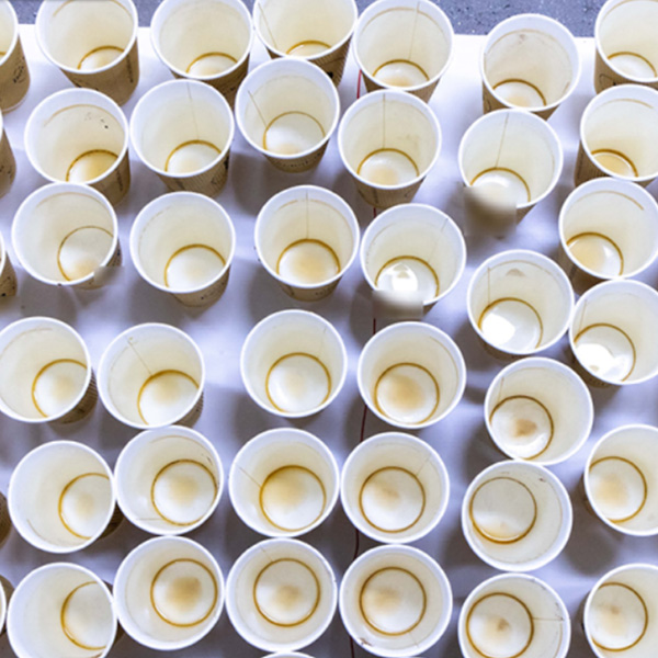 Global Plastic Reduction erbjuder praktiska lösningar