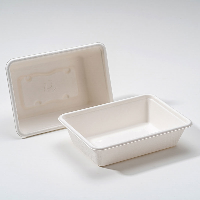 Varför Bagasse Square Box är framtiden för hållbara livsmedelsförpackningar?